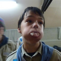 Koala 003 - Scouts en Gidsen Zaventem 